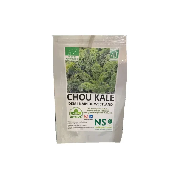 Chou Kale Demi Nain de Westland Bio - Sachet 5G